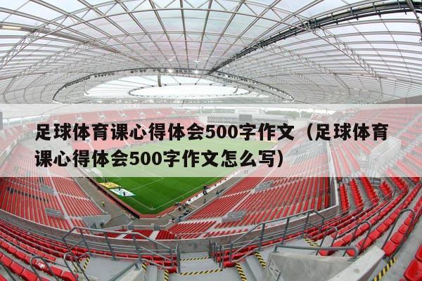 足球体育课心得体会500字作文（足球体育课心得体会500字作文怎么写）