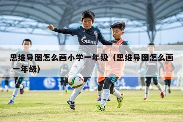 思维导图怎么画小学一年级（思维导图怎么画 一年级）