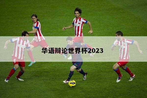 华语辩论世界杯2023 