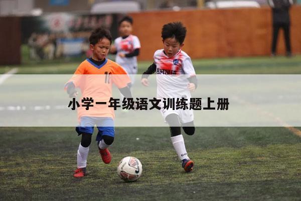 小学一年级语文训练题上册 