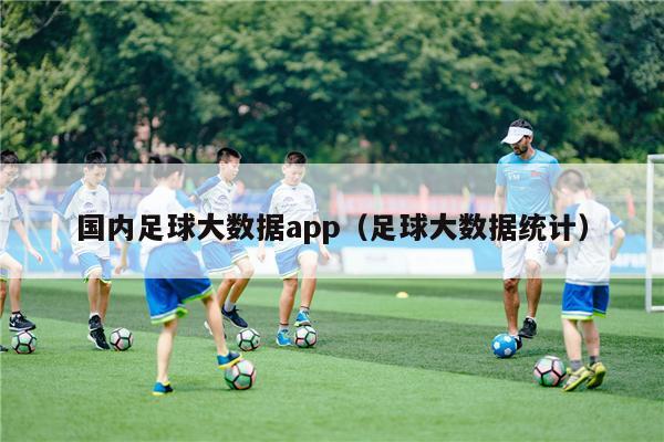 国内足球大数据app（足球大数据统计）