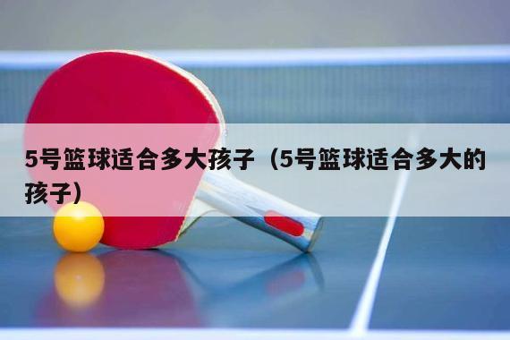 5号篮球适合多大孩子（5号篮球适合多大的孩子）