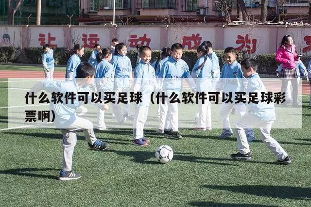 什么软件可以买足球（什么软件可以买足球彩票啊）