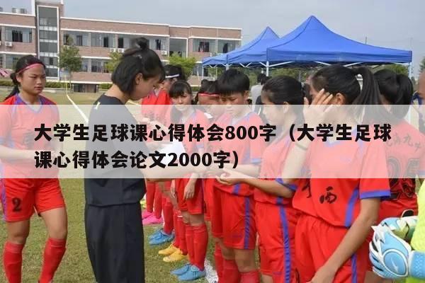 大学生足球课心得体会800字（大学生足球课心得体会论文2000字）