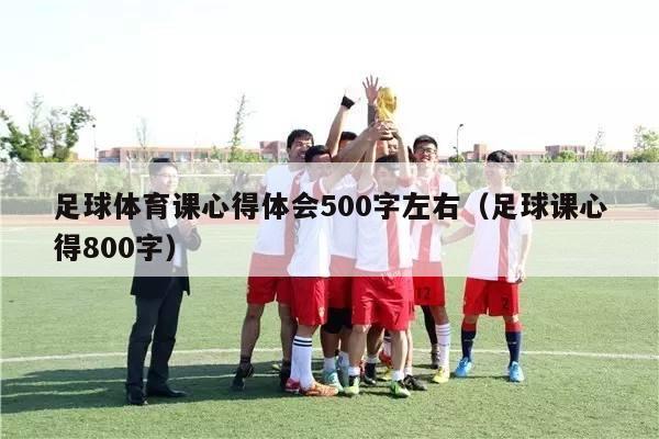 足球体育课心得体会500字左右（足球课心得800字）