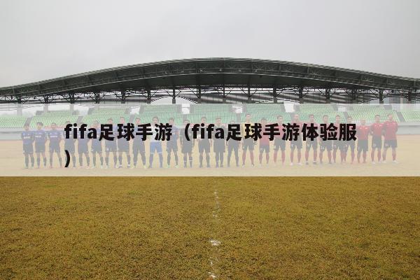 fifa足球手游（fifa足球手游体验服）