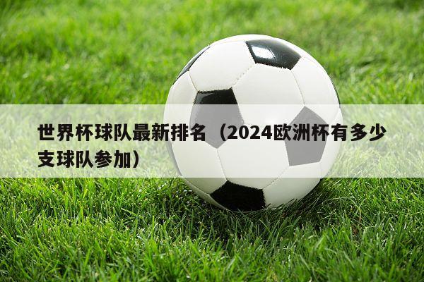 世界杯球队最新排名（2024欧洲杯有多少支球队参加）