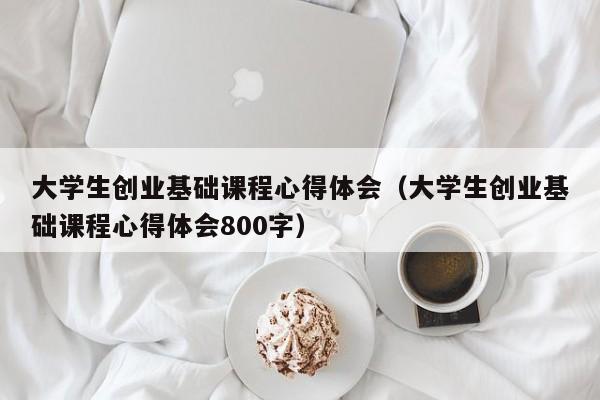 大学生创业基础课程心得体会（大学生创业基础课程心得体会800字）