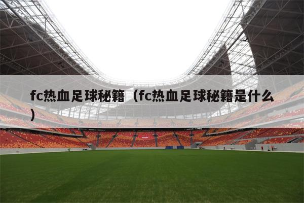 fc热血足球秘籍（fc热血足球秘籍是什么）