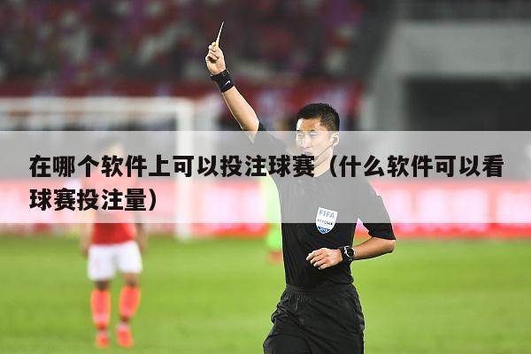 在哪个软件上可以投注球赛（什么软件可以看球赛投注量）