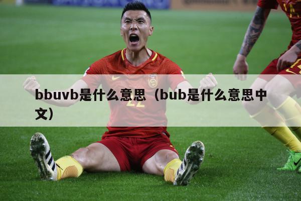 bbuvb是什么意思（bub是什么意思中文）