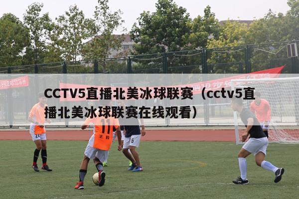 CCTV5直播北美冰球联赛（cctv5直播北美冰球联赛在线观看）