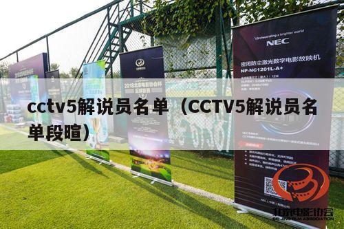 cctv5解说员名单（CCTV5解说员名单段暄）