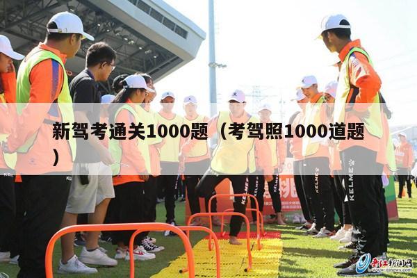 新驾考通关1000题（考驾照1000道题）