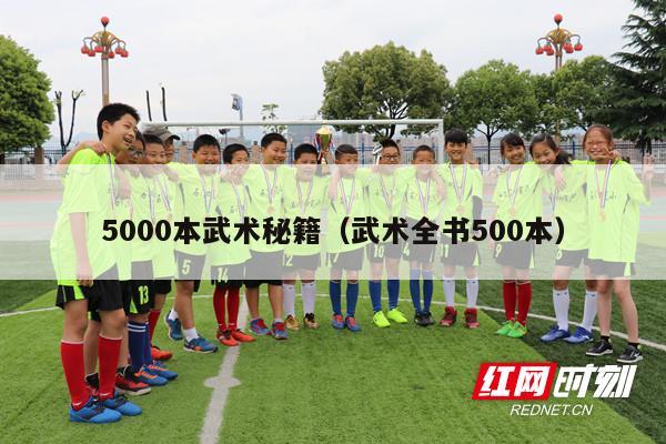 5000本武术秘籍（武术全书500本）