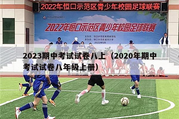 2023期中考试试卷八上（2020年期中考试试卷八年级上册）