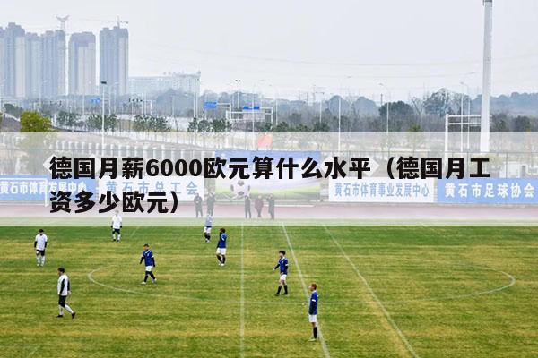 德国月薪6000欧元算什么水平（德国月工资多少欧元）