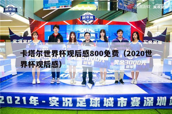 卡塔尔世界杯观后感800免费（2020世界杯观后感）