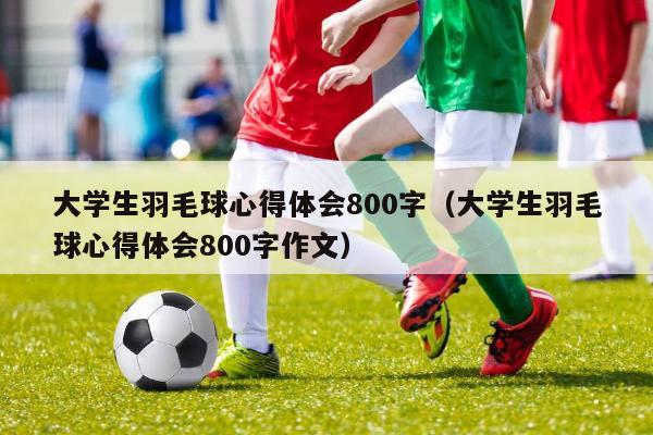 大学生羽毛球心得体会800字（大学生羽毛球心得体会800字作文）