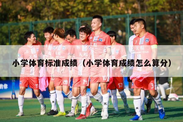 小学体育标准成绩（小学体育成绩怎么算分）