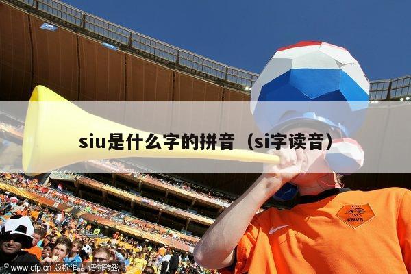 siu是什么字的拼音（si字读音）