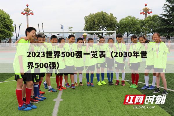 2023世界500强一览表（2030年世界500强）