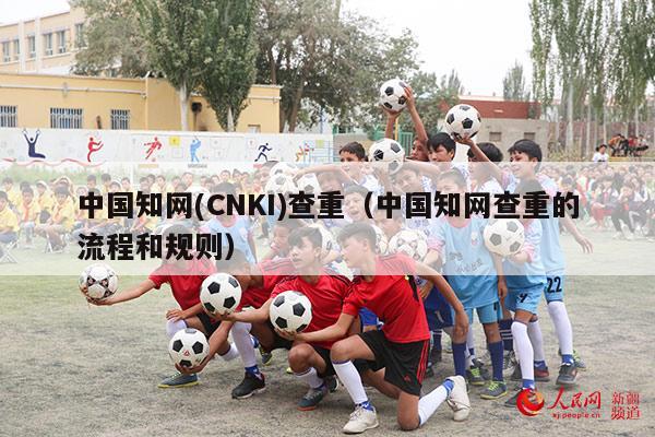 中国知网(CNKI)查重（中国知网查重的流程和规则）