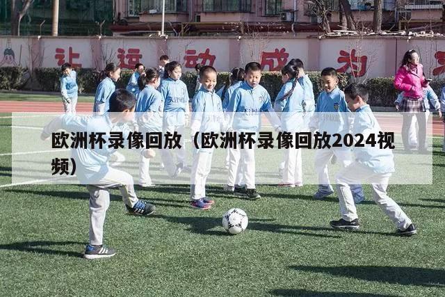 欧洲杯录像回放（欧洲杯录像回放2024视频）