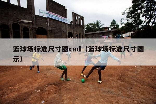 篮球场标准尺寸图cad（篮球场标准尺寸图示）