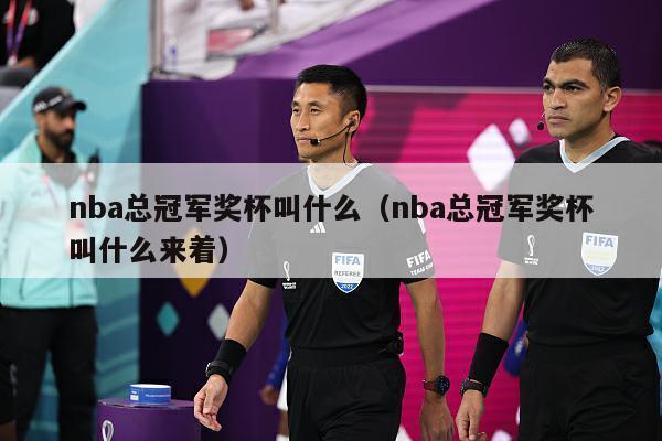 nba总冠军奖杯叫什么（nba总冠军奖杯叫什么来着）